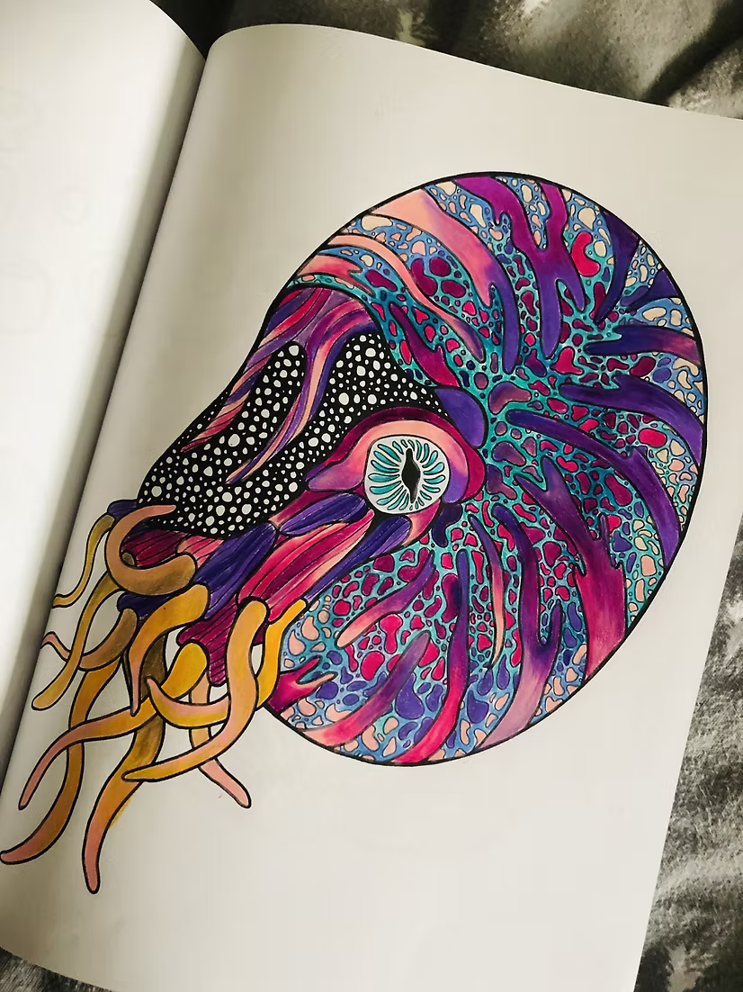 Magic Ocean: A Coloring Book by Karen Sue Chen