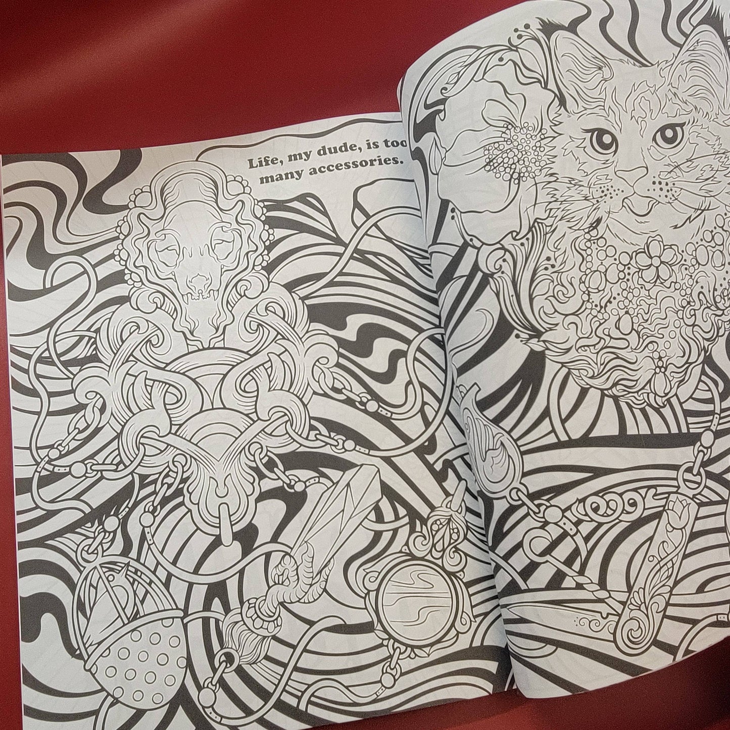 Coloring book page with intricate black and white designs