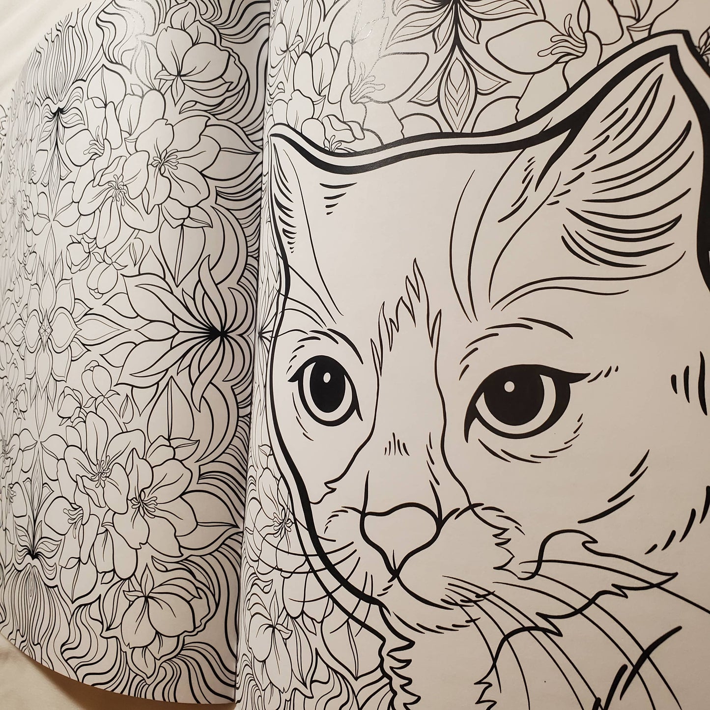 Coloring book page with a cat illustration and floral patterns