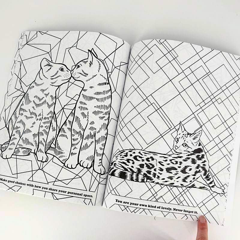 Depression Cats Coloring Book by Cat Champion