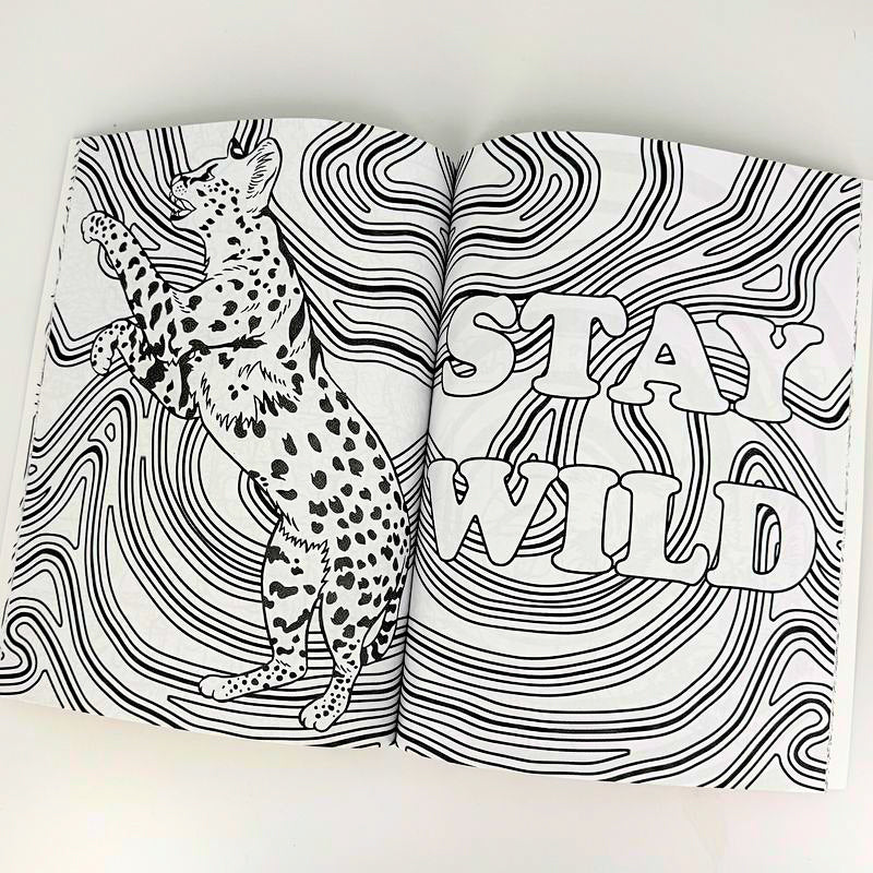 Depression Cats 2 Coloring Book by Cat Champion