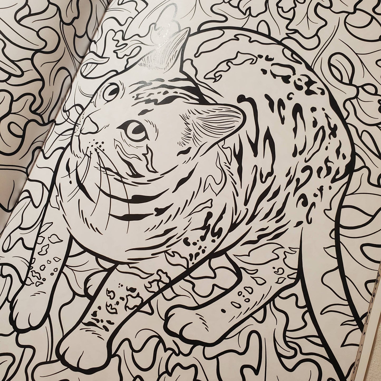 Coloring book page of a cat on a patterned background