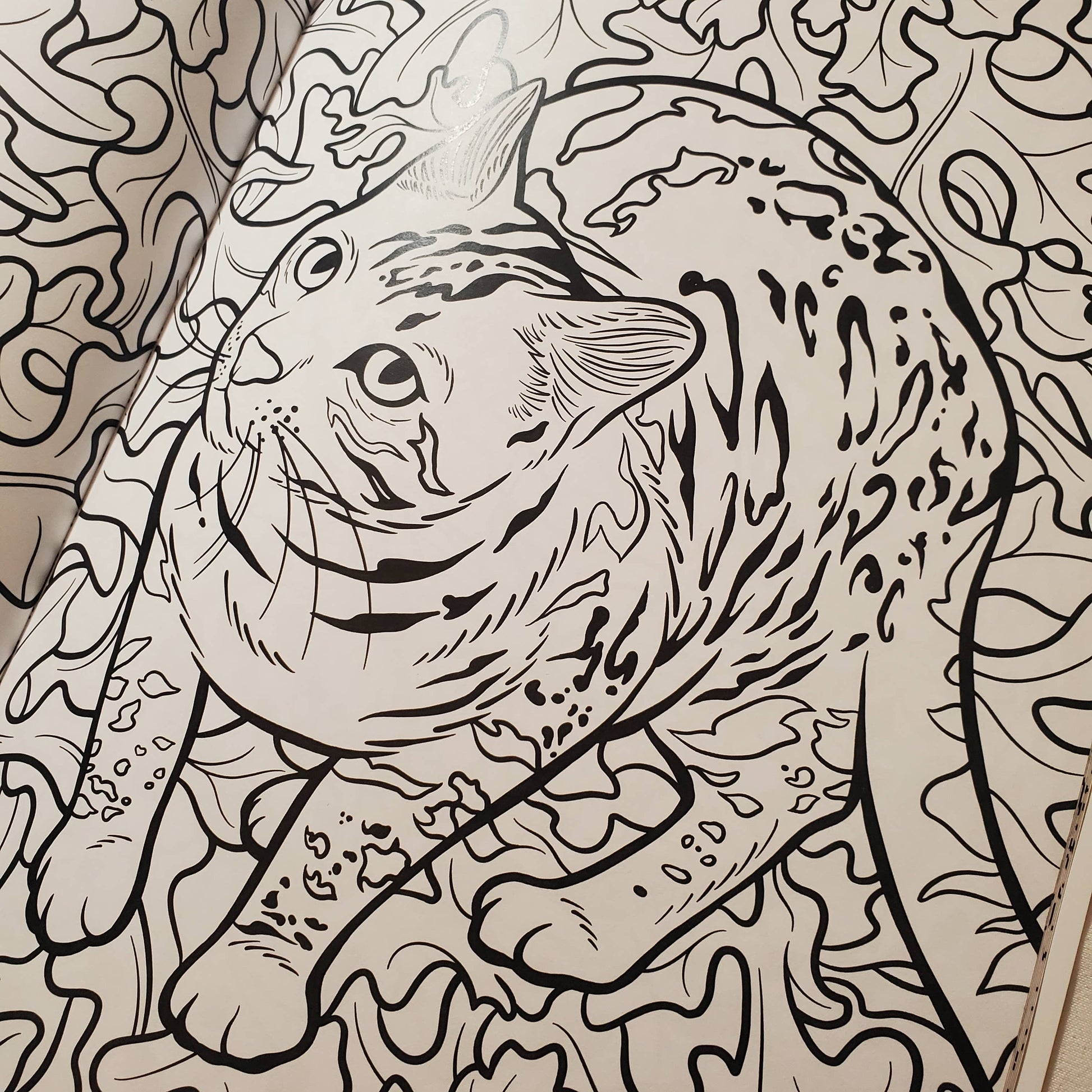 Coloring book page of a cat on a patterned background