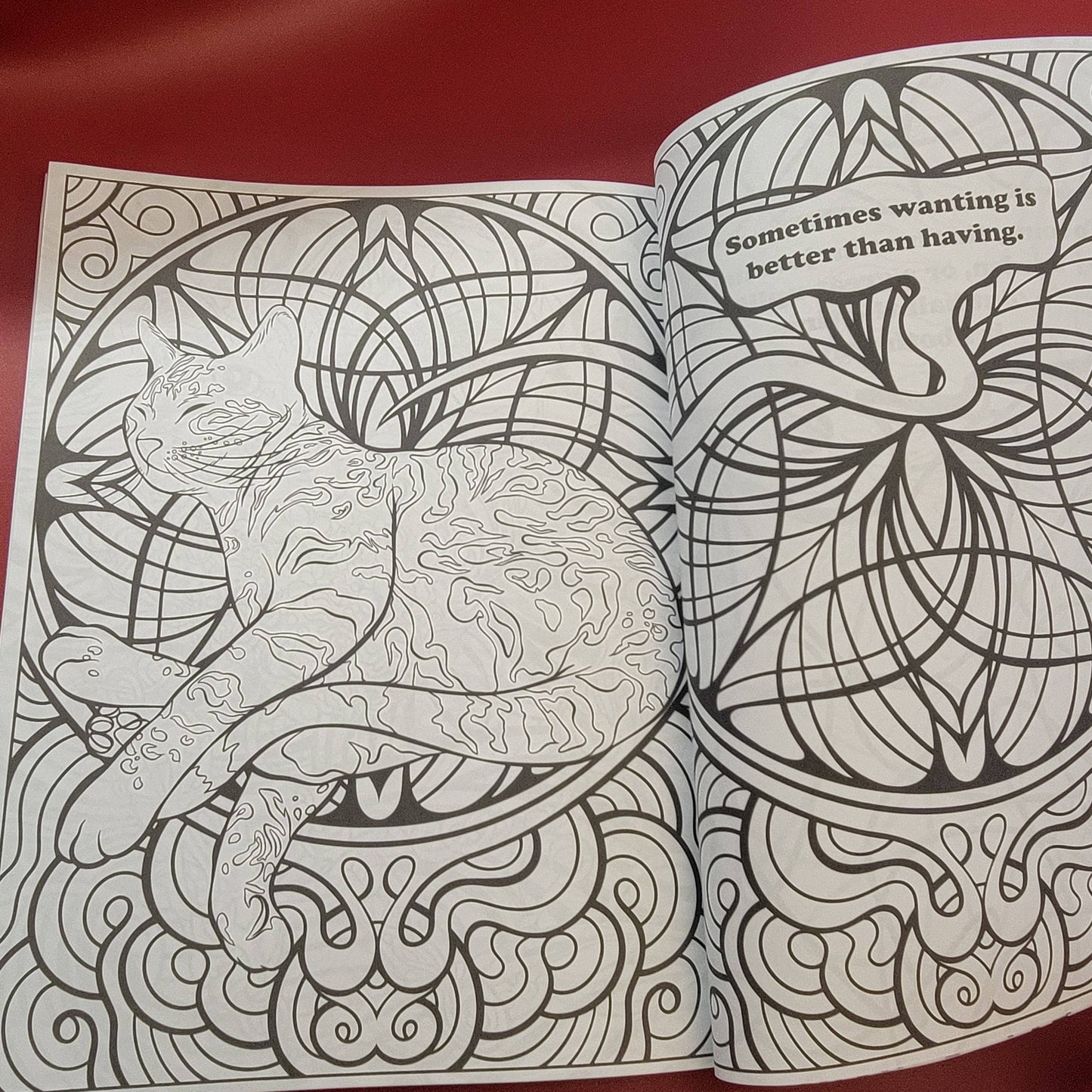 Open coloring book with a cat illustration and motivational quote