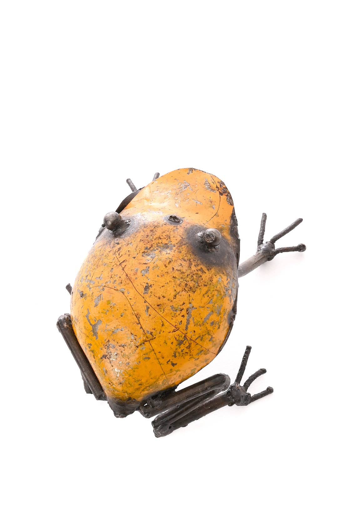 Yellow metallic frog - from the back.