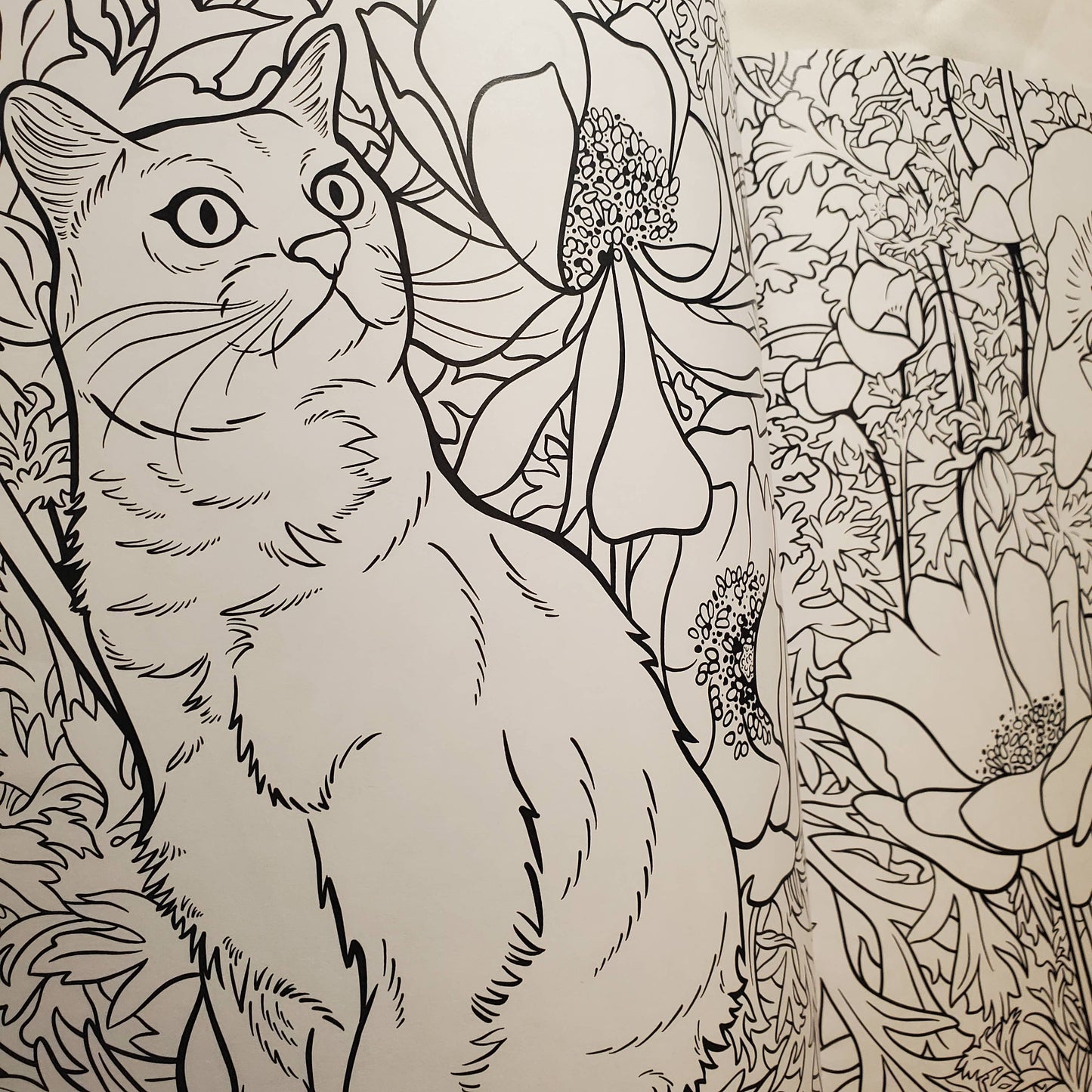 Page from the coloring book a drawing of a cat among flowers