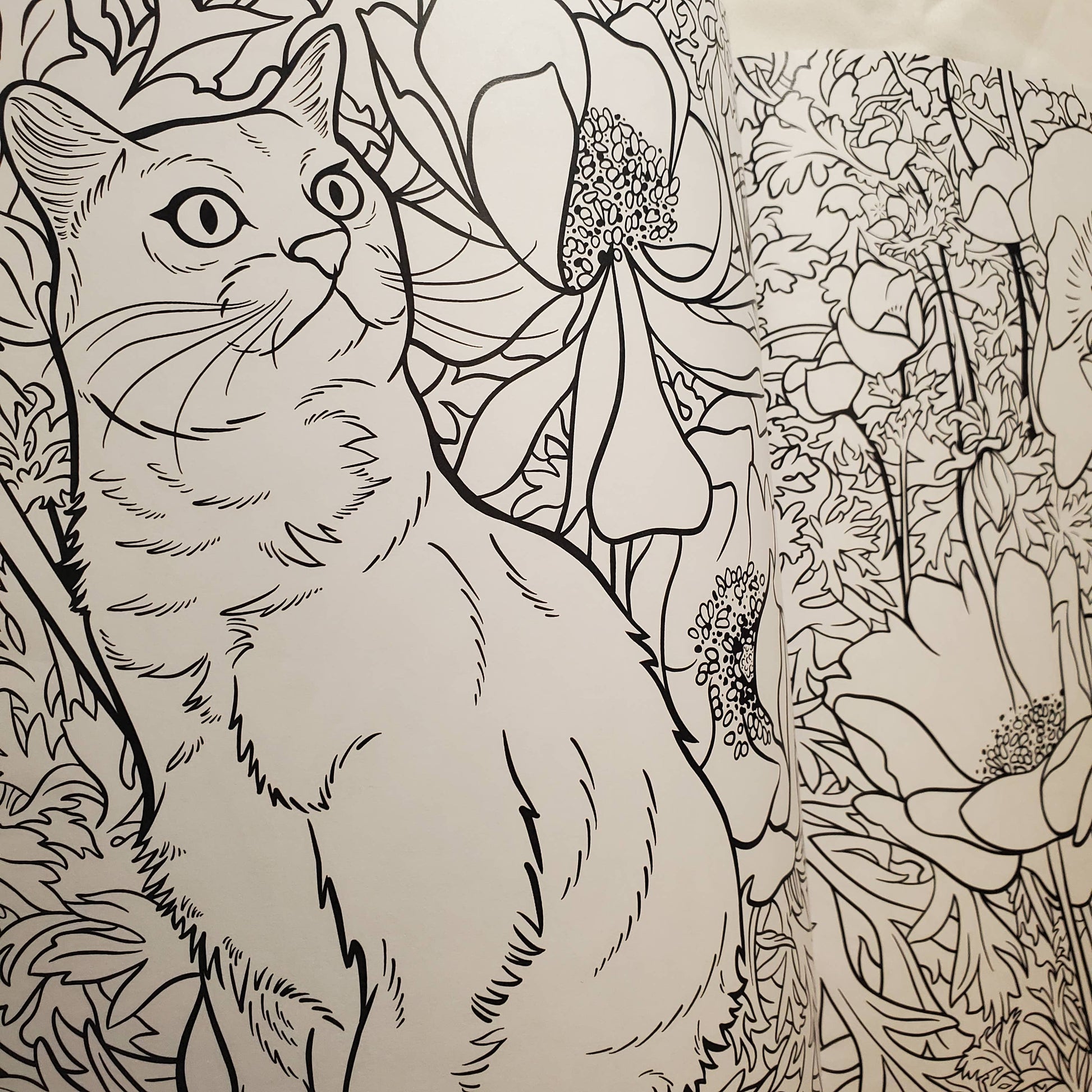 Page from the coloring book a drawing of a cat among flowers