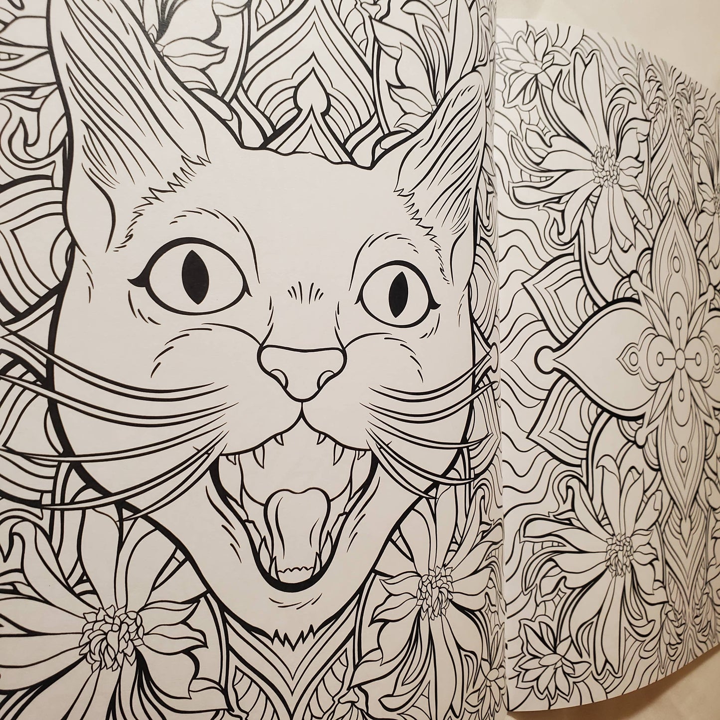 Page from the coloring book of a cat's face surrounded by floral patterns