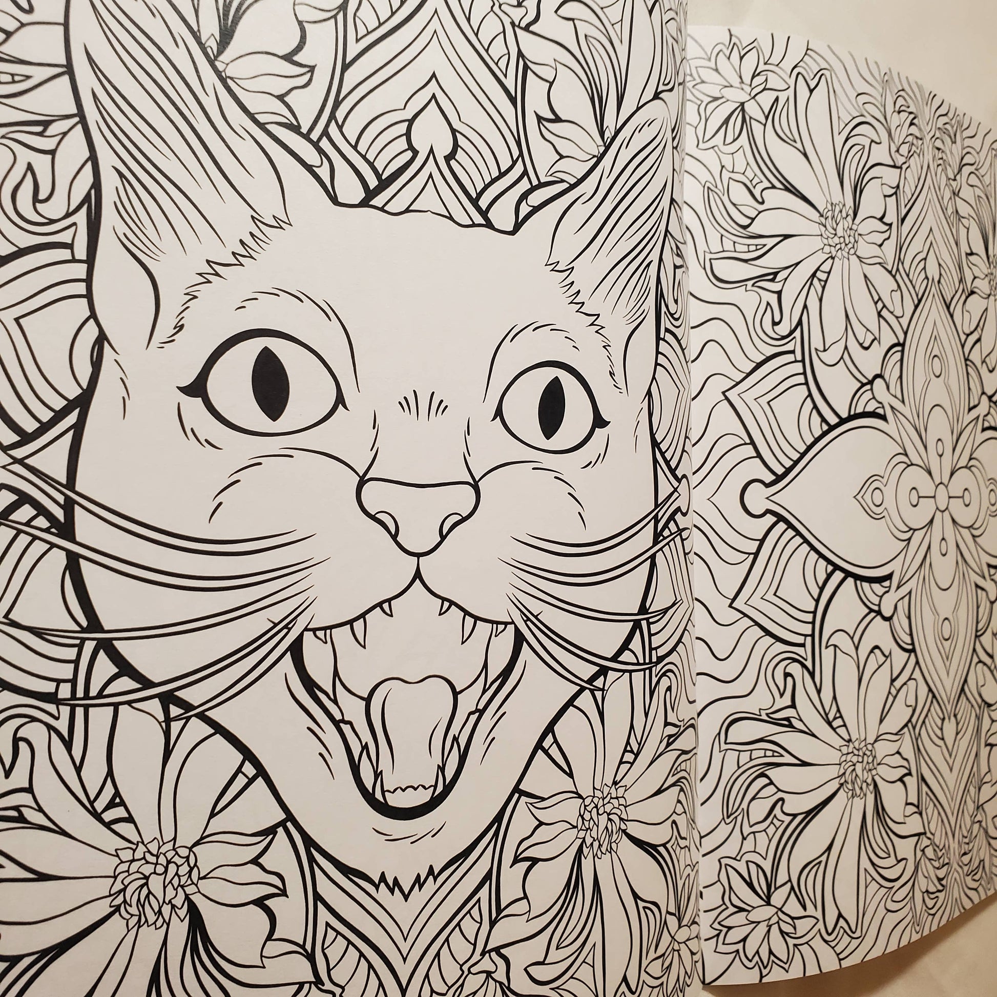 Page from the coloring book of a cat's face surrounded by floral patterns