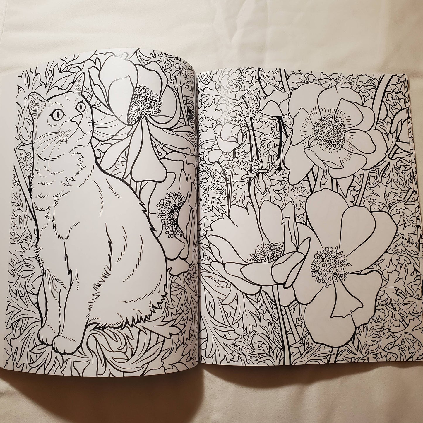 Open coloring book with a cat and floral designs on a plain background