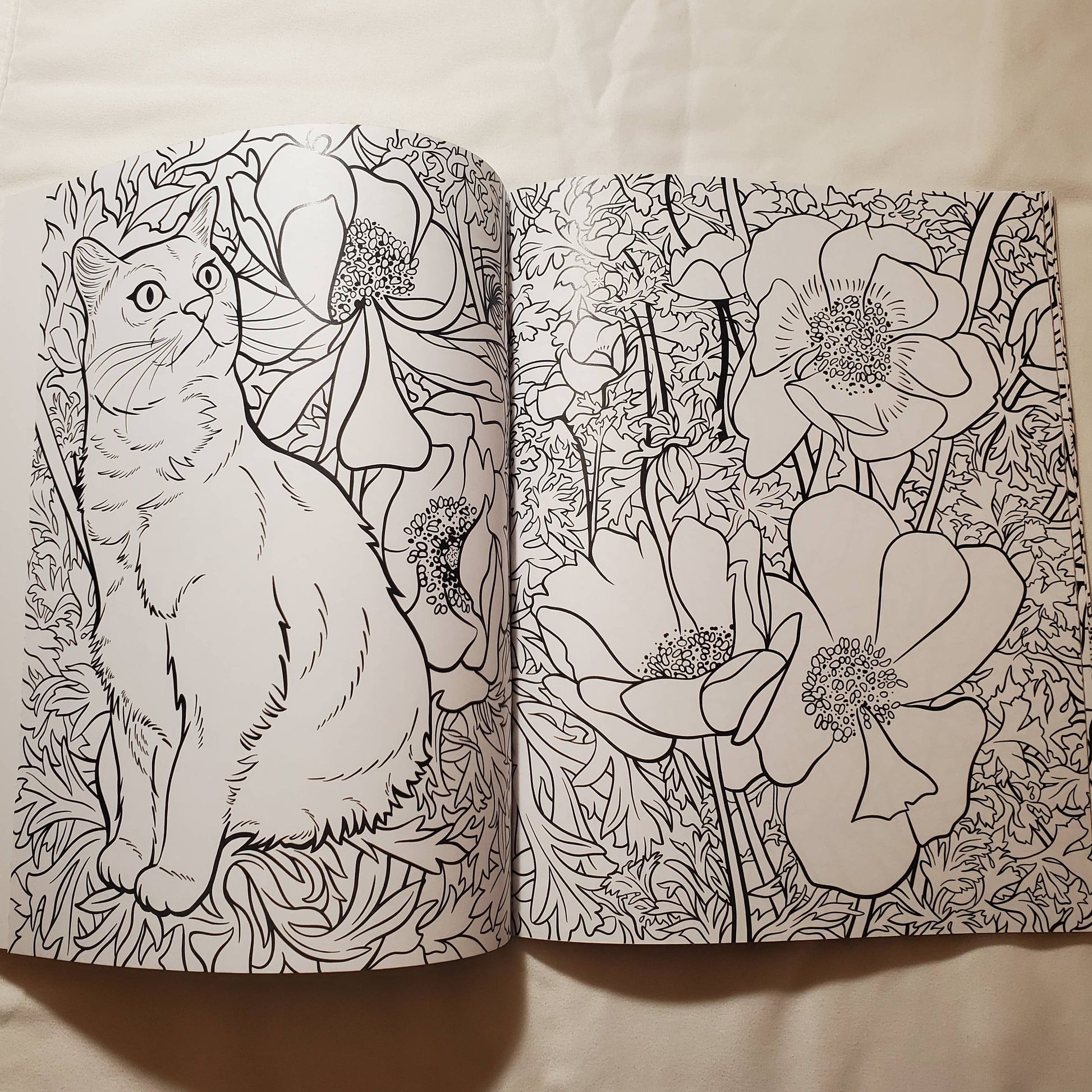 Open coloring book with a cat and floral designs on a plain background