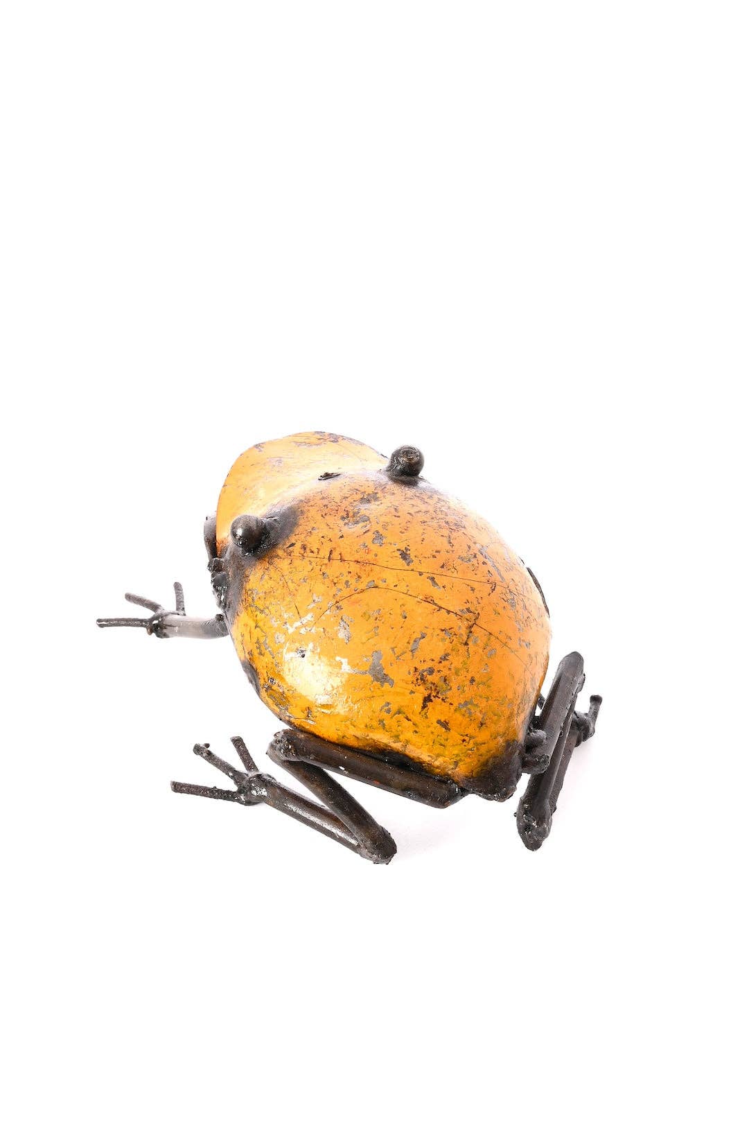 Yellow metallic frog - from the back.