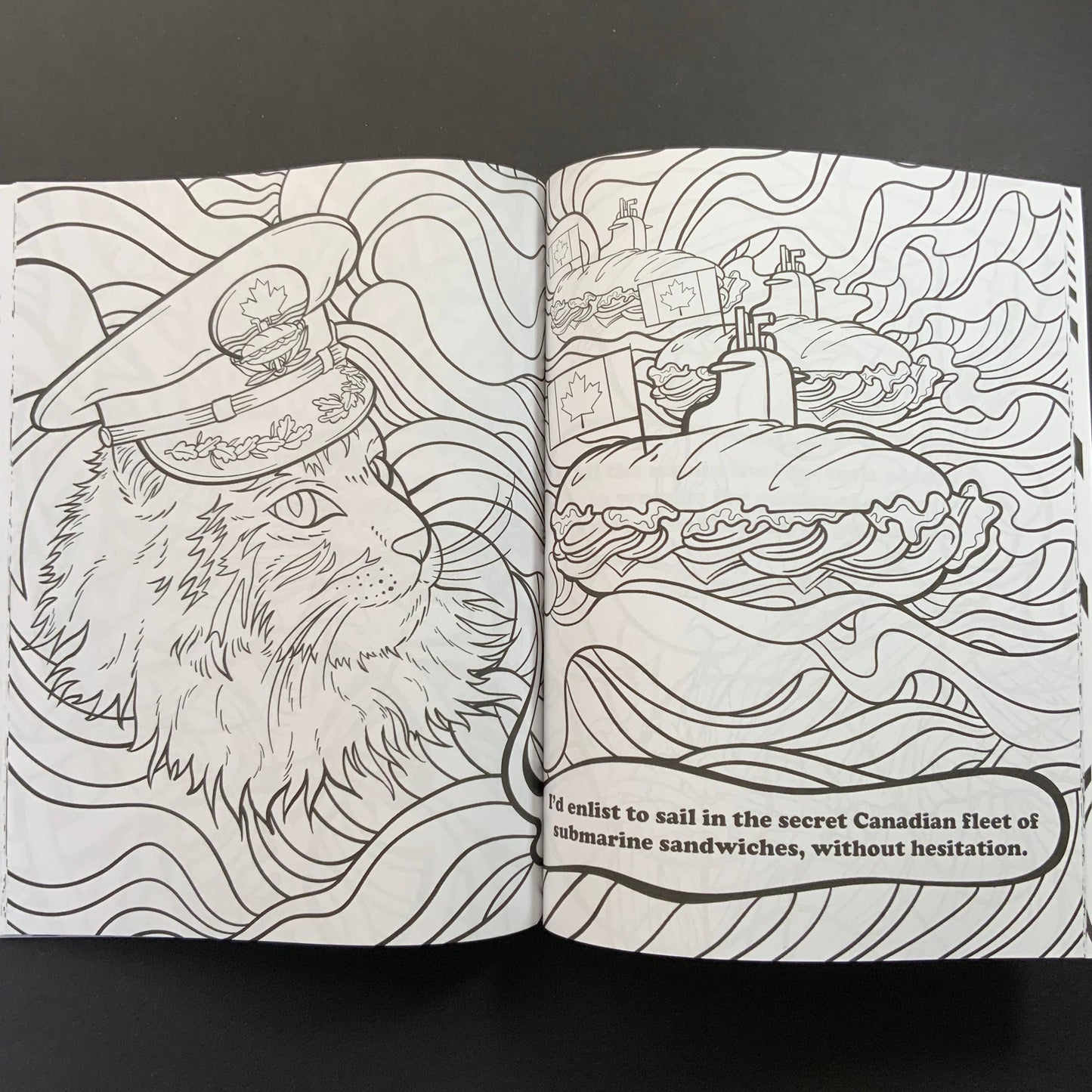 Open coloring book with a cat in a military and a submarine sandwich on a wave background.