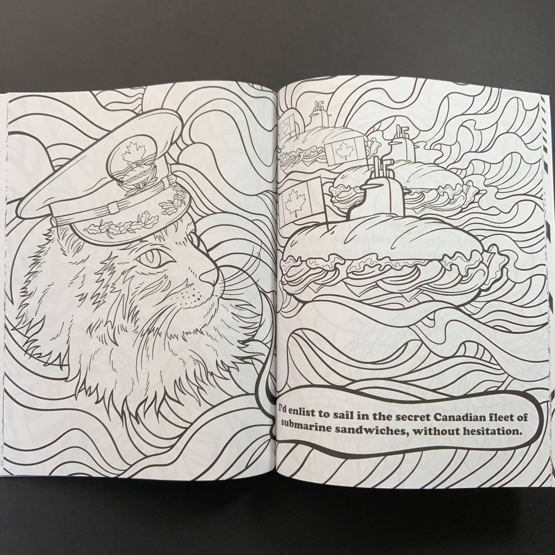 Open coloring book with a cat in a military and a submarine sandwich on a wave background.