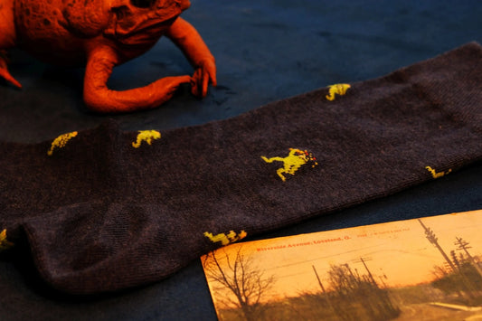 The Sockness Monster: Frogman!